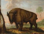 unknow artist Wisent oil painting on canvas